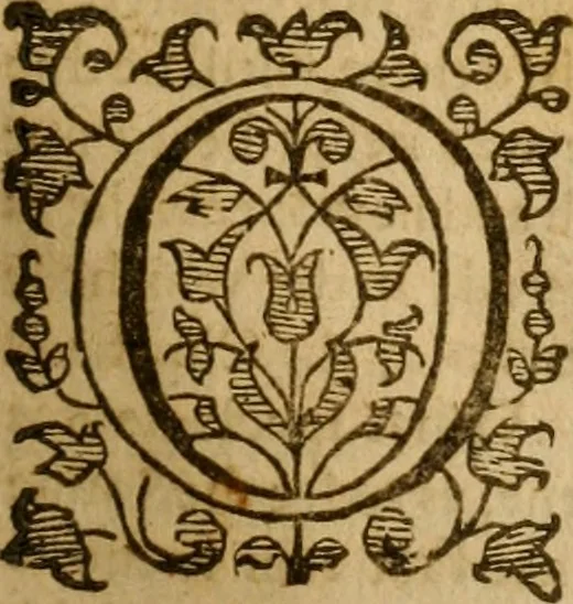 An illustration from The Mount of Calvarie, 1597, leaf 316