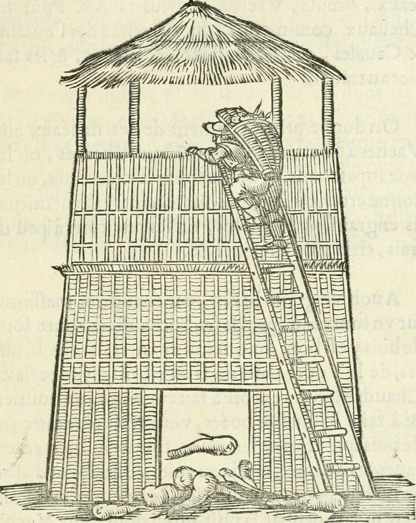An illustration from Moyen povr avgmenter les revenvs du royaume de plusieurs millions: cela ce peut, augmentant le reuenu des terres, on peut faire que le bestial produira 2. fois plus de profit qu'il ne fait .., 1666, leaf 50