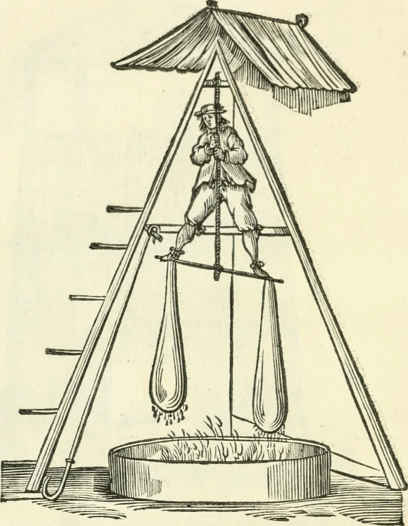 An illustration from Moyen povr avgmenter les revenvs du royaume de plusieurs millions: cela ce peut, augmentant le reuenu des terres, on peut faire que le bestial produira 2. fois plus de profit qu'il ne fait .., 1666, leaf 9