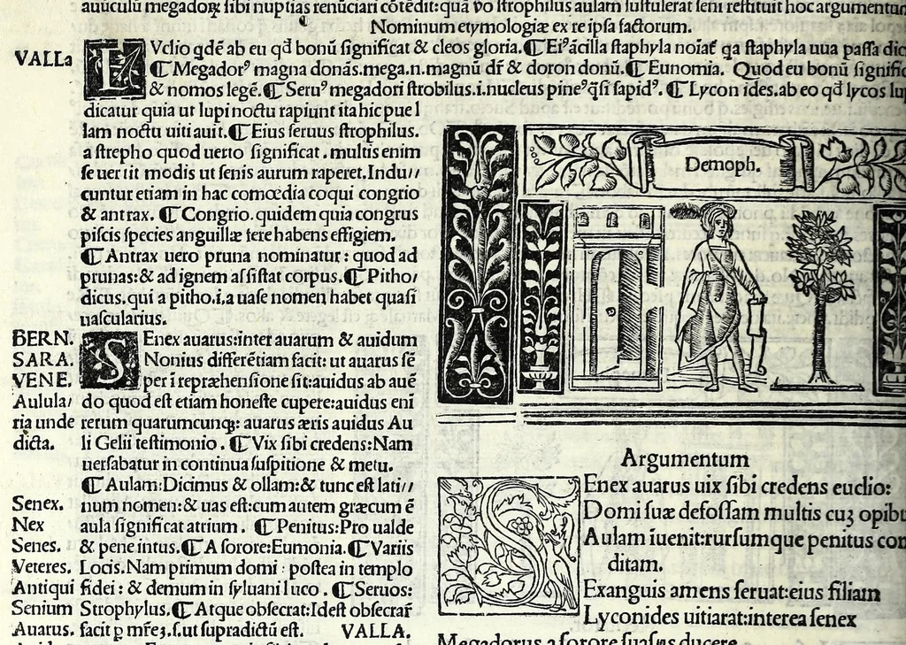 An illustration from M. Plauti linguae latinae principis comoediae XX recens ex collatione multorum codicum : q[ui] tum calamo scripti tum formulis excusi habeba[n]tur singulari diligentia recognitae : item eaedem comoediae o[mn]ibus fere locis co[m]mentationibus ornantur, 1511, leaf 110