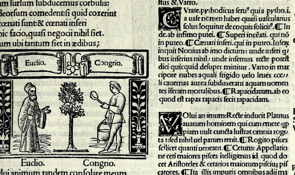 An illustration from M. Plauti linguae latinae principis comoediae XX recens ex collatione multorum codicum : q[ui] tum calamo scripti tum formulis excusi habeba[n]tur singulari diligentia recognitae : item eaedem comoediae o[mn]ibus fere locis co[m]mentationibus ornantur, 1511, leaf 119