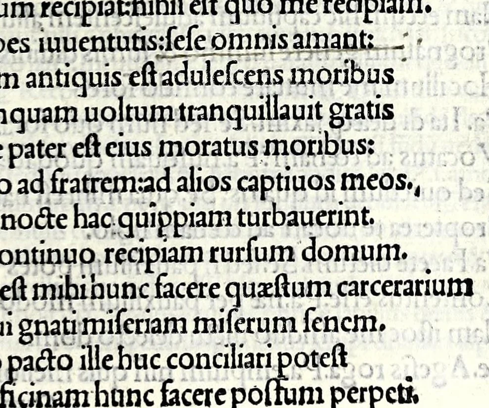 An illustration from M. Plauti linguae latinae principis comoediae XX recens ex collatione multorum codicum : q[ui] tum calamo scripti tum formulis excusi habeba[n]tur singulari diligentia recognitae : item eaedem comoediae o[mn]ibus fere locis co[m]mentationibus ornantur, 1511, leaf 143