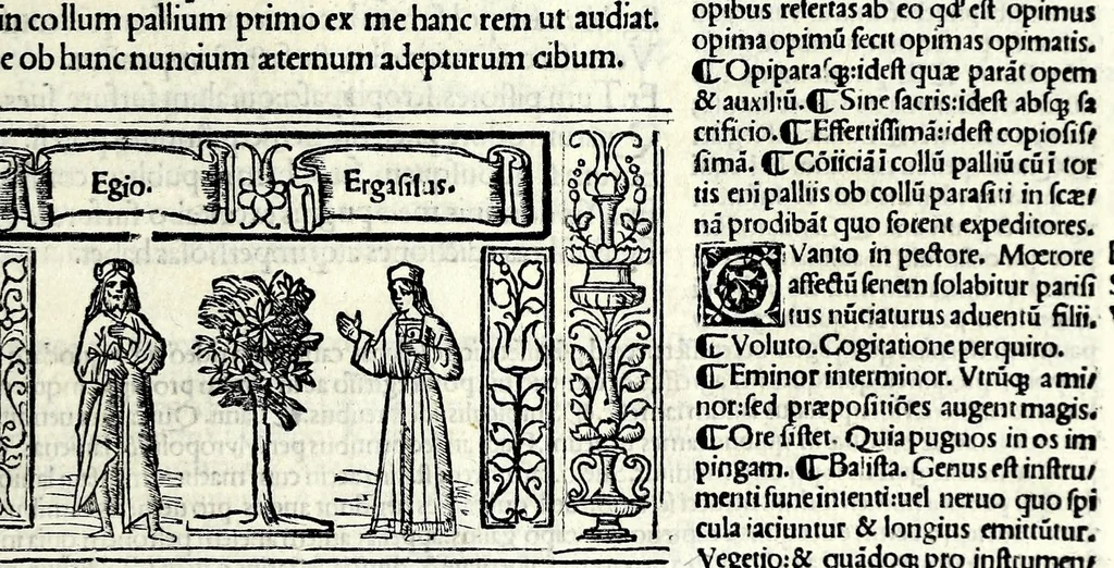 An illustration from M. Plauti linguae latinae principis comoediae XX recens ex collatione multorum codicum : q[ui] tum calamo scripti tum formulis excusi habeba[n]tur singulari diligentia recognitae : item eaedem comoediae o[mn]ibus fere locis co[m]mentationibus ornantur, 1511, leaf 163