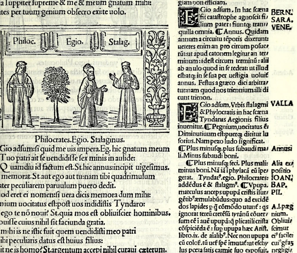 An illustration from M. Plauti linguae latinae principis comoediae XX recens ex collatione multorum codicum : q[ui] tum calamo scripti tum formulis excusi habeba[n]tur singulari diligentia recognitae : item eaedem comoediae o[mn]ibus fere locis co[m]mentationibus ornantur, 1511, leaf 171