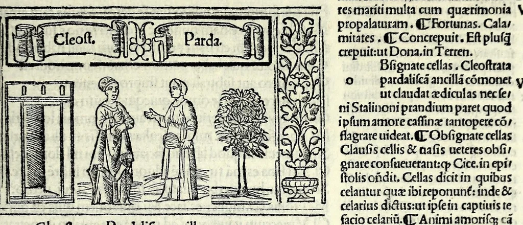 An illustration from M. Plauti linguae latinae principis comoediae XX recens ex collatione multorum codicum : q[ui] tum calamo scripti tum formulis excusi habeba[n]tur singulari diligentia recognitae : item eaedem comoediae o[mn]ibus fere locis co[m]mentationibus ornantur, 1511, leaf 205