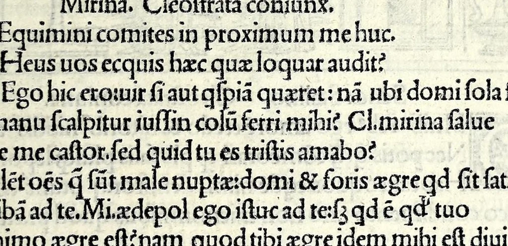 An illustration from M. Plauti linguae latinae principis comoediae XX recens ex collatione multorum codicum : q[ui] tum calamo scripti tum formulis excusi habeba[n]tur singulari diligentia recognitae : item eaedem comoediae o[mn]ibus fere locis co[m]mentationibus ornantur, 1511, leaf 205