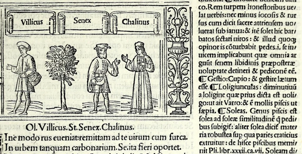 An illustration from M. Plauti linguae latinae principis comoediae XX recens ex collatione multorum codicum : q[ui] tum calamo scripti tum formulis excusi habeba[n]tur singulari diligentia recognitae : item eaedem comoediae o[mn]ibus fere locis co[m]mentationibus ornantur, 1511, leaf 213