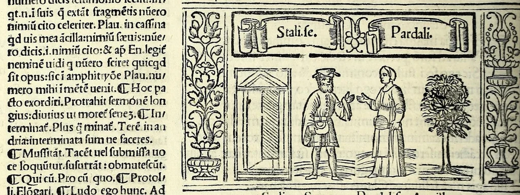 An illustration from M. Plauti linguae latinae principis comoediae XX recens ex collatione multorum codicum : q[ui] tum calamo scripti tum formulis excusi habeba[n]tur singulari diligentia recognitae : item eaedem comoediae o[mn]ibus fere locis co[m]mentationibus ornantur, 1511, leaf 218