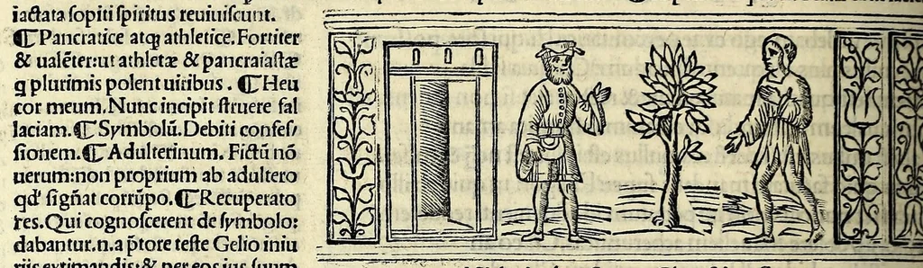 An illustration from M. Plauti linguae latinae principis comoediae XX recens ex collatione multorum codicum : q[ui] tum calamo scripti tum formulis excusi habeba[n]tur singulari diligentia recognitae : item eaedem comoediae o[mn]ibus fere locis co[m]mentationibus ornantur, 1511, leaf 270