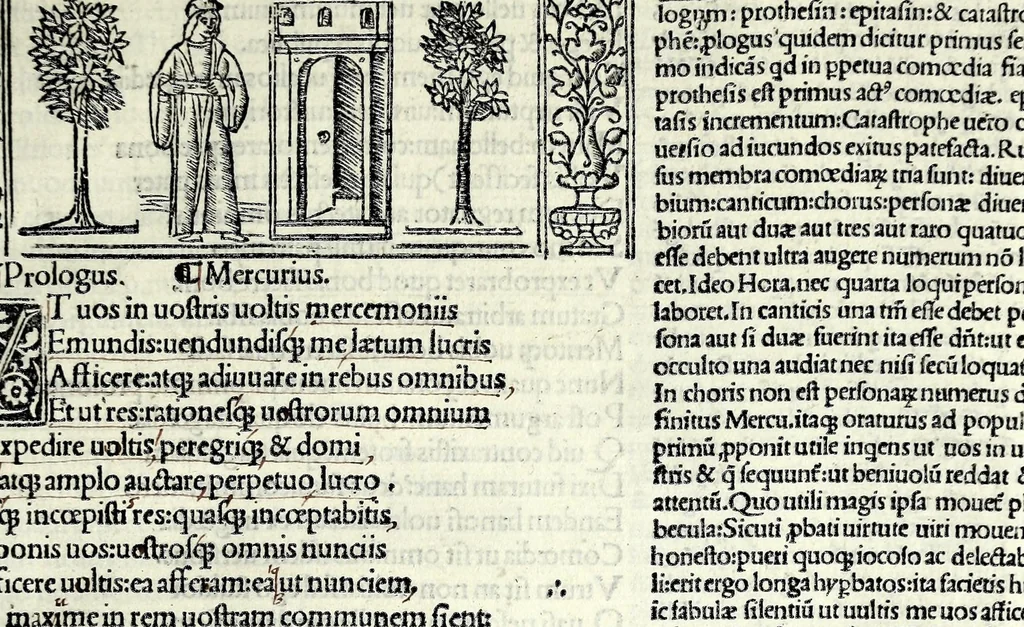 An illustration from M. Plauti linguae latinae principis comoediae XX recens ex collatione multorum codicum : q[ui] tum calamo scripti tum formulis excusi habeba[n]tur singulari diligentia recognitae : item eaedem comoediae o[mn]ibus fere locis co[m]mentationibus ornantur, 1511, leaf 29