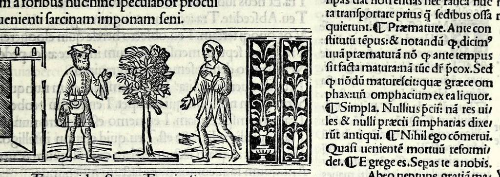 An illustration from M. Plauti linguae latinae principis comoediae XX recens ex collatione multorum codicum : q[ui] tum calamo scripti tum formulis excusi habeba[n]tur singulari diligentia recognitae : item eaedem comoediae o[mn]ibus fere locis co[m]mentationibus ornantur, 1511, leaf 305