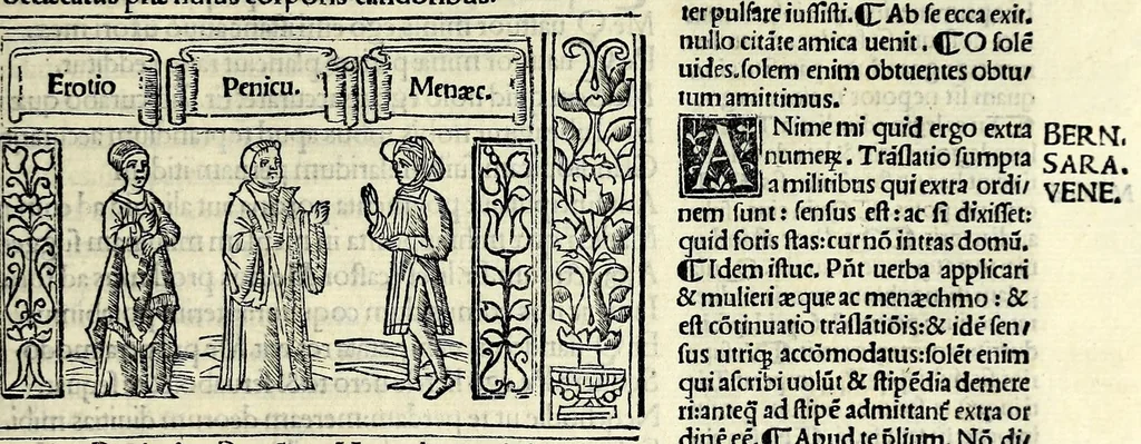 An illustration from M. Plauti linguae latinae principis comoediae XX recens ex collatione multorum codicum : q[ui] tum calamo scripti tum formulis excusi habeba[n]tur singulari diligentia recognitae : item eaedem comoediae o[mn]ibus fere locis co[m]mentationibus ornantur, 1511, leaf 329