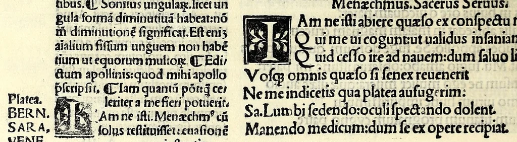 An illustration from M. Plauti linguae latinae principis comoediae XX recens ex collatione multorum codicum : q[ui] tum calamo scripti tum formulis excusi habeba[n]tur singulari diligentia recognitae : item eaedem comoediae o[mn]ibus fere locis co[m]mentationibus ornantur, 1511, leaf 346
