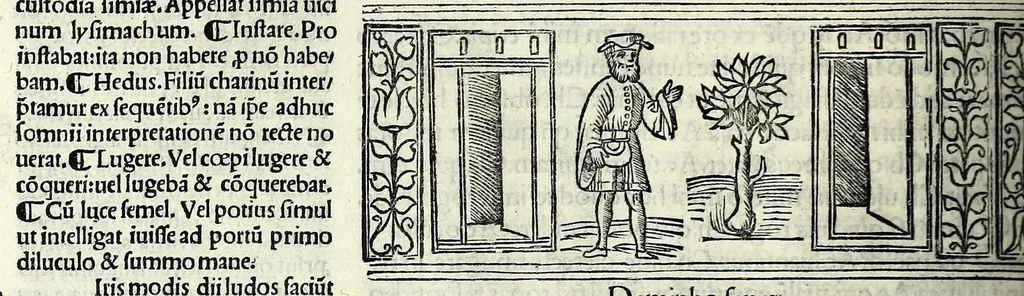 An illustration from M. Plauti linguae latinae principis comoediae XX recens ex collatione multorum codicum : q[ui] tum calamo scripti tum formulis excusi habeba[n]tur singulari diligentia recognitae : item eaedem comoediae o[mn]ibus fere locis co[m]mentationibus ornantur, 1511, leaf 398