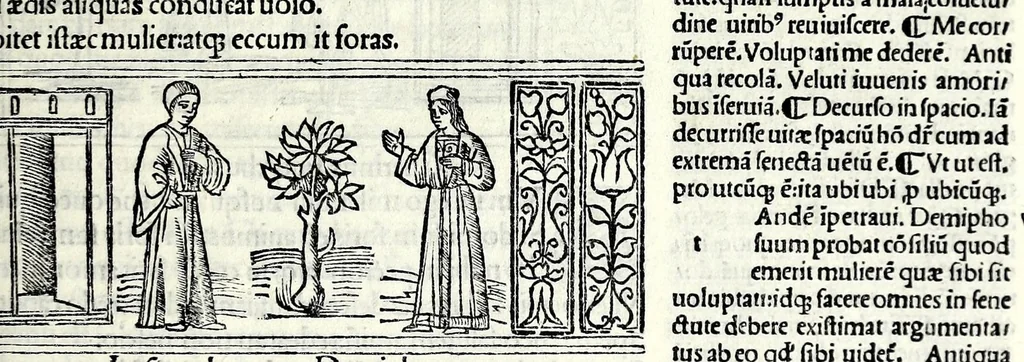 An illustration from M. Plauti linguae latinae principis comoediae XX recens ex collatione multorum codicum : q[ui] tum calamo scripti tum formulis excusi habeba[n]tur singulari diligentia recognitae : item eaedem comoediae o[mn]ibus fere locis co[m]mentationibus ornantur, 1511, leaf 405