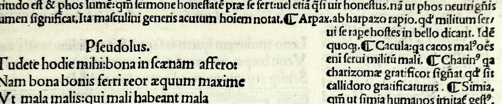 An illustration from M. Plauti linguae latinae principis comoediae XX recens ex collatione multorum codicum : q[ui] tum calamo scripti tum formulis excusi habeba[n]tur singulari diligentia recognitae : item eaedem comoediae o[mn]ibus fere locis co[m]mentationibus ornantur, 1511, leaf 423