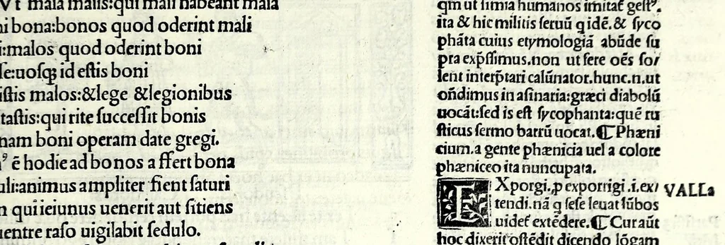 An illustration from M. Plauti linguae latinae principis comoediae XX recens ex collatione multorum codicum : q[ui] tum calamo scripti tum formulis excusi habeba[n]tur singulari diligentia recognitae : item eaedem comoediae o[mn]ibus fere locis co[m]mentationibus ornantur, 1511, leaf 423