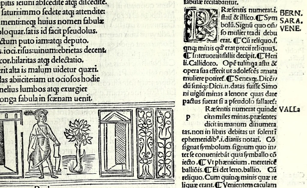 An illustration from M. Plauti linguae latinae principis comoediae XX recens ex collatione multorum codicum : q[ui] tum calamo scripti tum formulis excusi habeba[n]tur singulari diligentia recognitae : item eaedem comoediae o[mn]ibus fere locis co[m]mentationibus ornantur, 1511, leaf 423