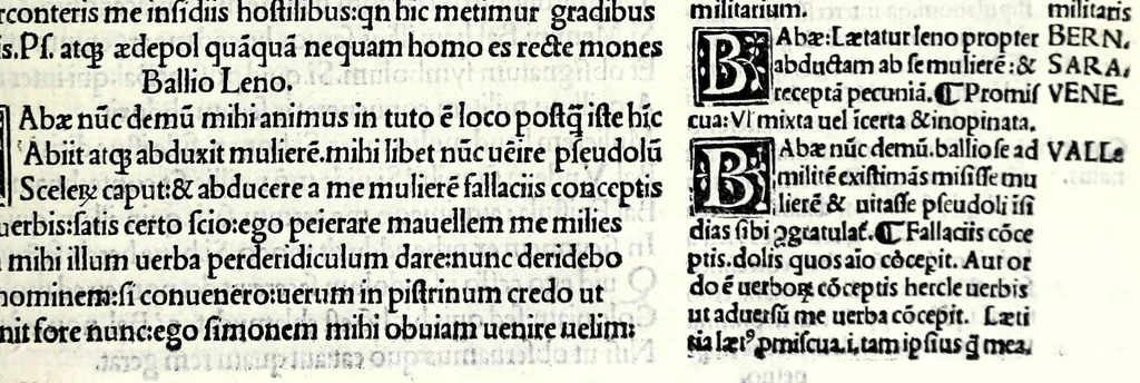An illustration from M. Plauti linguae latinae principis comoediae XX recens ex collatione multorum codicum : q[ui] tum calamo scripti tum formulis excusi habeba[n]tur singulari diligentia recognitae : item eaedem comoediae o[mn]ibus fere locis co[m]mentationibus ornantur, 1511, leaf 449