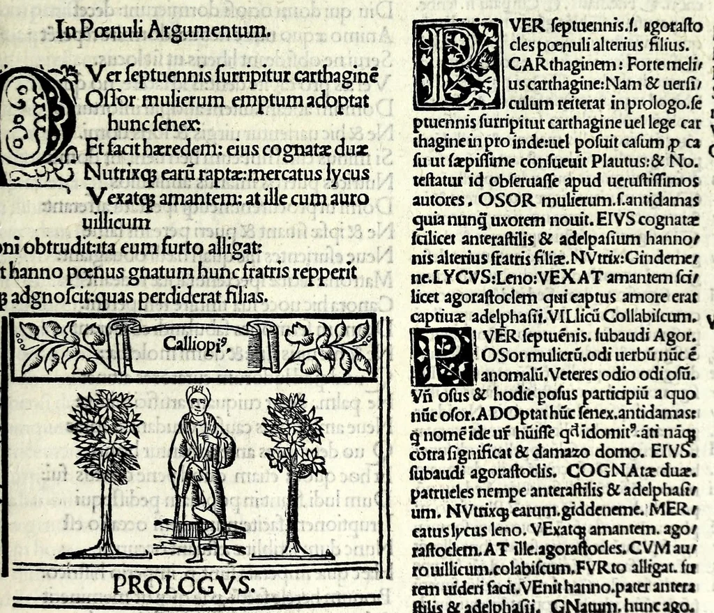 An illustration from M. Plauti linguae latinae principis comoediae XX recens ex collatione multorum codicum : q[ui] tum calamo scripti tum formulis excusi habeba[n]tur singulari diligentia recognitae : item eaedem comoediae o[mn]ibus fere locis co[m]mentationibus ornantur, 1511, leaf 457