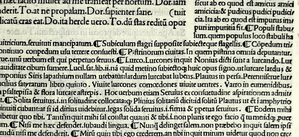An illustration from M. Plauti linguae latinae principis comoediae XX recens ex collatione multorum codicum : q[ui] tum calamo scripti tum formulis excusi habeba[n]tur singulari diligentia recognitae : item eaedem comoediae o[mn]ibus fere locis co[m]mentationibus ornantur, 1511, leaf 509