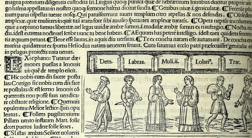 An illustration from M. Plauti linguae latinae principis comoediae XX recens ex collatione multorum codicum : q[ui] tum calamo scripti tum formulis excusi habeba[n]tur singulari diligentia recognitae : item eaedem comoediae o[mn]ibus fere locis co[m]mentationibus ornantur, 1511, leaf 540
