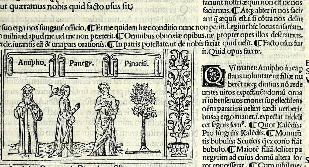 An illustration from M. Plauti linguae latinae principis comoediae XX recens ex collatione multorum codicum : q[ui] tum calamo scripti tum formulis excusi habeba[n]tur singulari diligentia recognitae : item eaedem comoediae o[mn]ibus fere locis co[m]mentationibus ornantur, 1511, leaf 559