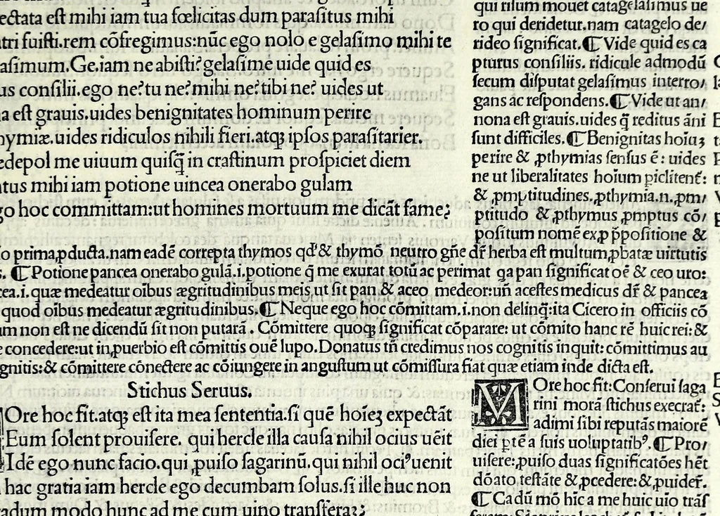 An illustration from M. Plauti linguae latinae principis comoediae XX recens ex collatione multorum codicum : q[ui] tum calamo scripti tum formulis excusi habeba[n]tur singulari diligentia recognitae : item eaedem comoediae o[mn]ibus fere locis co[m]mentationibus ornantur, 1511, leaf 573