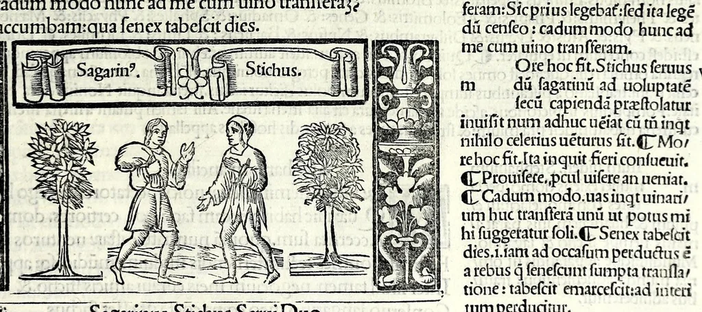 An illustration from M. Plauti linguae latinae principis comoediae XX recens ex collatione multorum codicum : q[ui] tum calamo scripti tum formulis excusi habeba[n]tur singulari diligentia recognitae : item eaedem comoediae o[mn]ibus fere locis co[m]mentationibus ornantur, 1511, leaf 573
