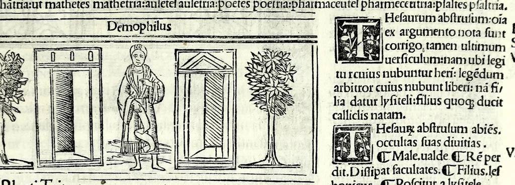 An illustration from M. Plauti linguae latinae principis comoediae XX recens ex collatione multorum codicum : q[ui] tum calamo scripti tum formulis excusi habeba[n]tur singulari diligentia recognitae : item eaedem comoediae o[mn]ibus fere locis co[m]mentationibus ornantur, 1511, leaf 579