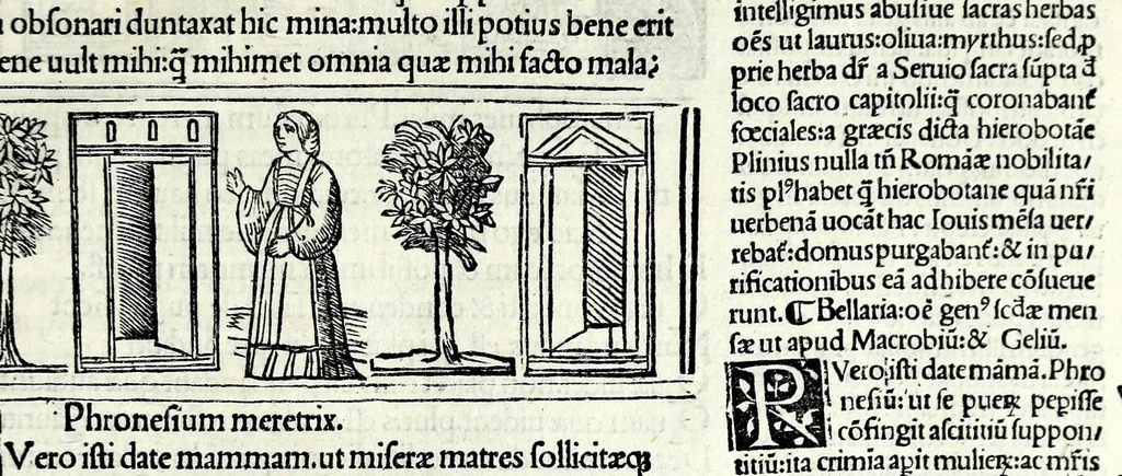 An illustration from M. Plauti linguae latinae principis comoediae XX recens ex collatione multorum codicum : q[ui] tum calamo scripti tum formulis excusi habeba[n]tur singulari diligentia recognitae : item eaedem comoediae o[mn]ibus fere locis co[m]mentationibus ornantur, 1511, leaf 619