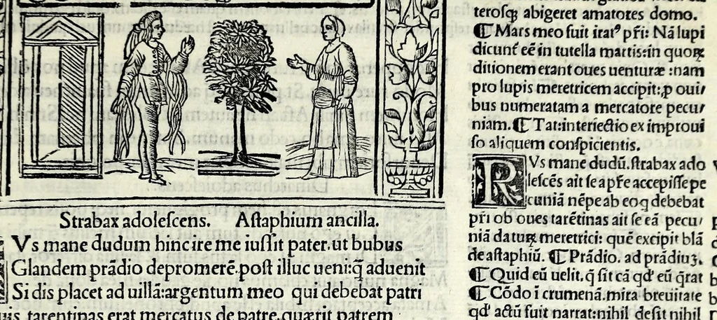 An illustration from M. Plauti linguae latinae principis comoediae XX recens ex collatione multorum codicum : q[ui] tum calamo scripti tum formulis excusi habeba[n]tur singulari diligentia recognitae : item eaedem comoediae o[mn]ibus fere locis co[m]mentationibus ornantur, 1511, leaf 625