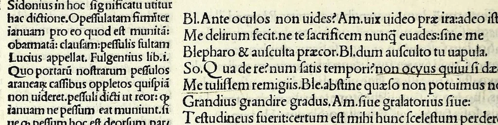 An illustration from M. Plauti linguae latinae principis comoediae XX recens ex collatione multorum codicum : q[ui] tum calamo scripti tum formulis excusi habeba[n]tur singulari diligentia recognitae : item eaedem comoediae o[mn]ibus fere locis co[m]mentationibus ornantur, 1511, leaf 70