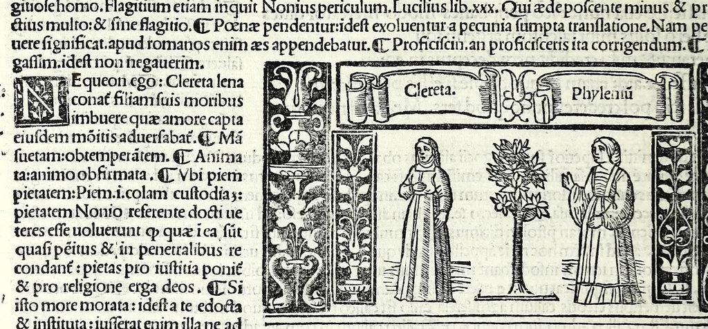 An illustration from M. Plauti linguae latinae principis comoediae XX recens ex collatione multorum codicum : q[ui] tum calamo scripti tum formulis excusi habeba[n]tur singulari diligentia recognitae : item eaedem comoediae o[mn]ibus fere locis co[m]mentationibus ornantur, 1511, leaf 94