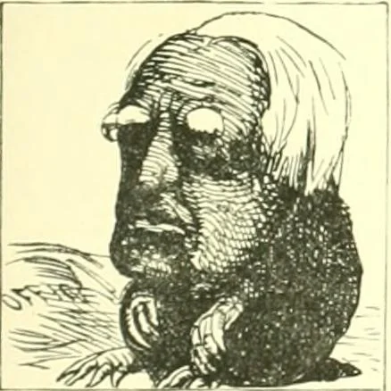 An illustration from M. P.'s in session, from Mr. Punch's parliamentary portrait gallery, 1889, leaf 72