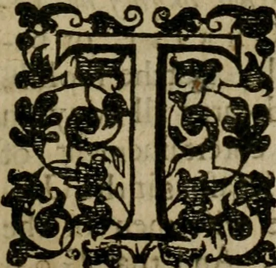 An illustration from Mr. Boltons last and learned worke of the foure last things, death, iudgement, hell and heaven. With his assises-sermons, and notes on Iustice Nicolls his funerall. Together with the life and death of the authour, 1639, leaf 228