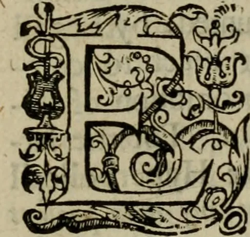 An illustration from Mr. Boltons last and learned worke of the foure last things, death, iudgement, hell and heaven. With his assises-sermons, and notes on Iustice Nicolls his funerall. Together with the life and death of the authour, 1639, leaf 338