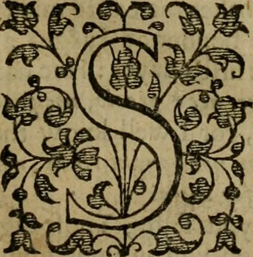 An illustration from Mr. Boltons last and learned worke of the foure last things, death, iudgement, hell and heaven. With his assises-sermons, and notes on Iustice Nicolls his funerall. Together with the life and death of the authour, 1639, leaf 8