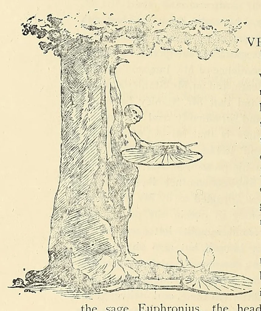 An illustration from Mr. H.M. Stanley : as leader and comrade, 1890, leaf 60