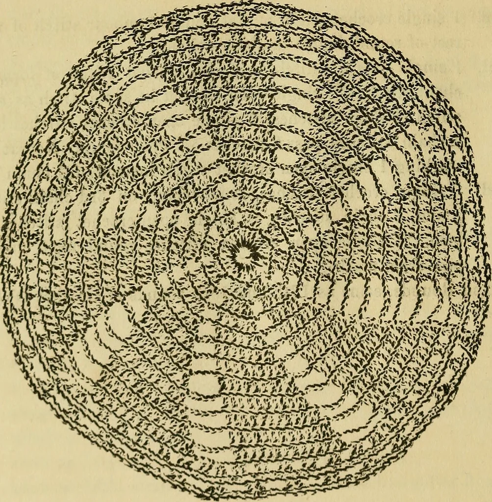 An illustration from Mrs. Gaugain's crochet D'Oyley book : [No. I-III], 1846, leaf 67