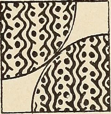 An illustration from Méthode de composition ornementale, 1905, leaf 134