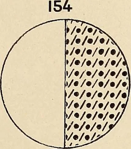 An illustration from Méthode de composition ornementale, 1905, leaf 144