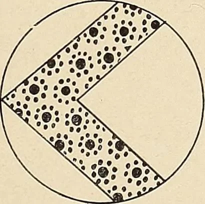 An illustration from Méthode de composition ornementale, 1905, leaf 144