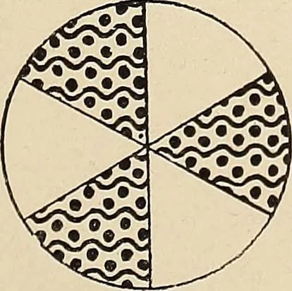 An illustration from Méthode de composition ornementale, 1905, leaf 144