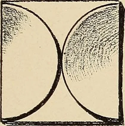 An illustration from Méthode de composition ornementale, 1905, leaf 148