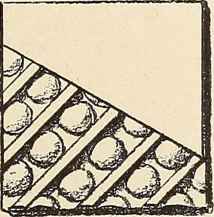 An illustration from Méthode de composition ornementale, 1905, leaf 148