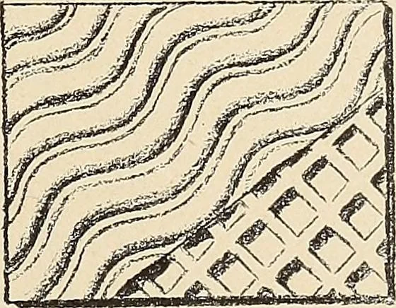 An illustration from Méthode de composition ornementale, 1905, leaf 148