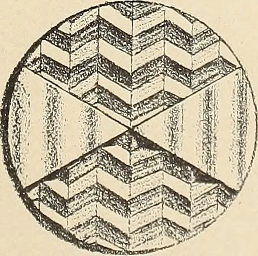 An illustration from Méthode de composition ornementale, 1905, leaf 148