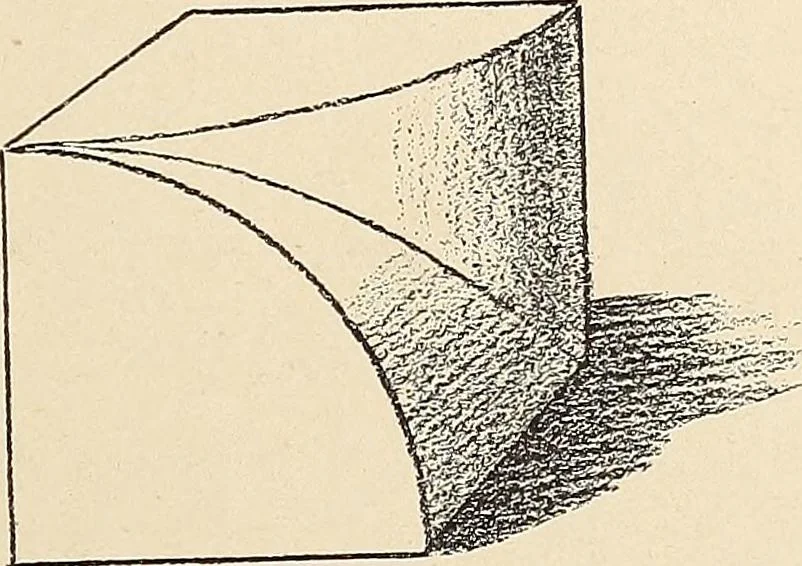 An illustration from Méthode de composition ornementale, 1905, leaf 152