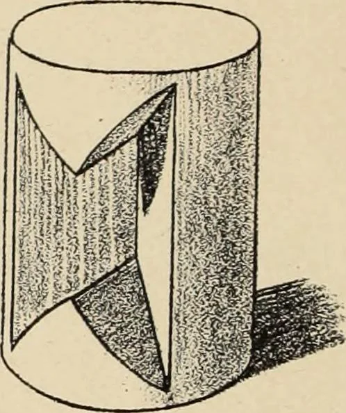 An illustration from Méthode de composition ornementale, 1905, leaf 155